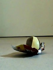 Classy-looking experienced chicks demonstrate their skills