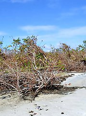 Real old babe is teasing her boyfriend