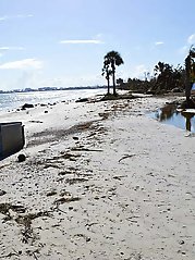 Fiery experienced woman is having sex with her boyfriend